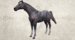 <span dir="ltr" class="cl-ltr">Diablo IV - Primal Instinct Mount DLC</span> - تصویر 2