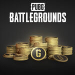 <span dir="ltr" class="cl-ltr">PUBG - 2700 G-Coins</span>