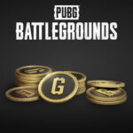 <span dir="ltr" class="cl-ltr">PUBG - 510 G-Coins</span>