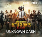 <span dir="ltr" class="cl-ltr">PUBG Mobile - 6000 + 2100 UC</span>