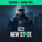 <span dir="ltr" class="cl-ltr">PUBG: NEW STATE - 30000 + 5000 NC</span>