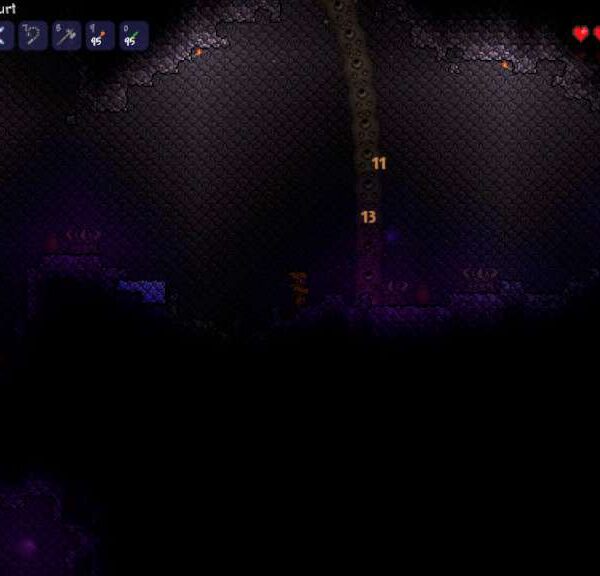 <span dir="ltr" class="cl-ltr">Terraria</span>