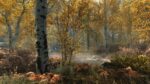 The Elder Scrolls V: Skyrim Special Edition Steam Key GLOBAL - تصویر 4